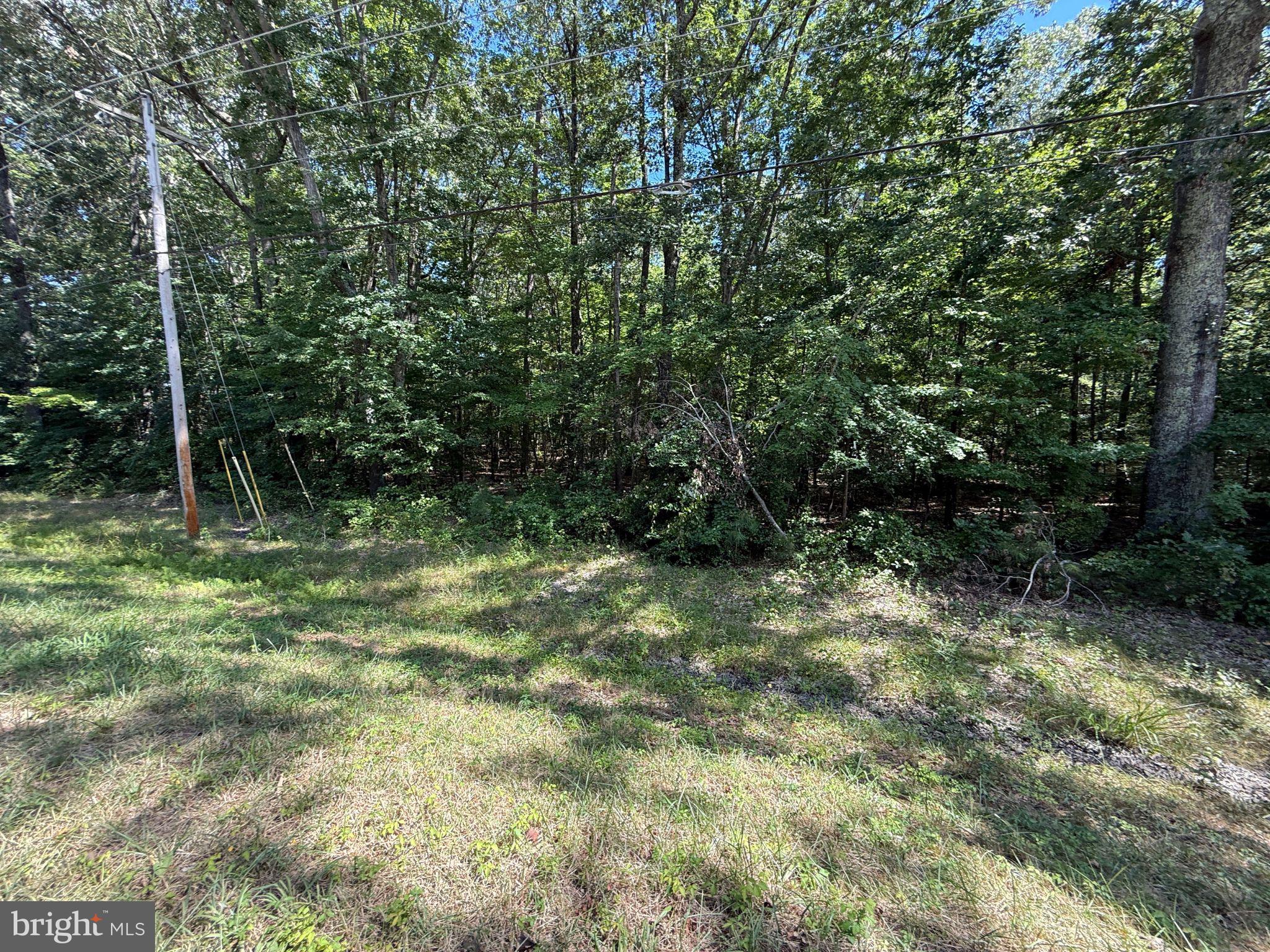 18832 Piney Point Road Valley Lee, MD 20692 - Photo 10 of 14 a view of outdoor space and green space