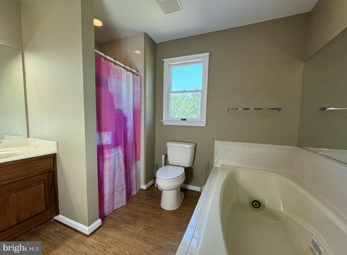1586 Courthouse Road Catlett, VA 20119 - Photo 39 of 45 Large, jetted soaking tub and separate shower