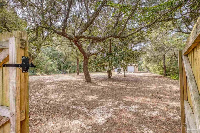 a view of a backyard with a tree