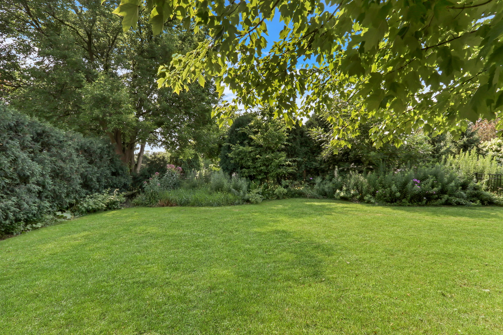 5684 Wolf Road Western Springs, IL 60558 - Photo 46 of 51 a view of a grassy field with trees