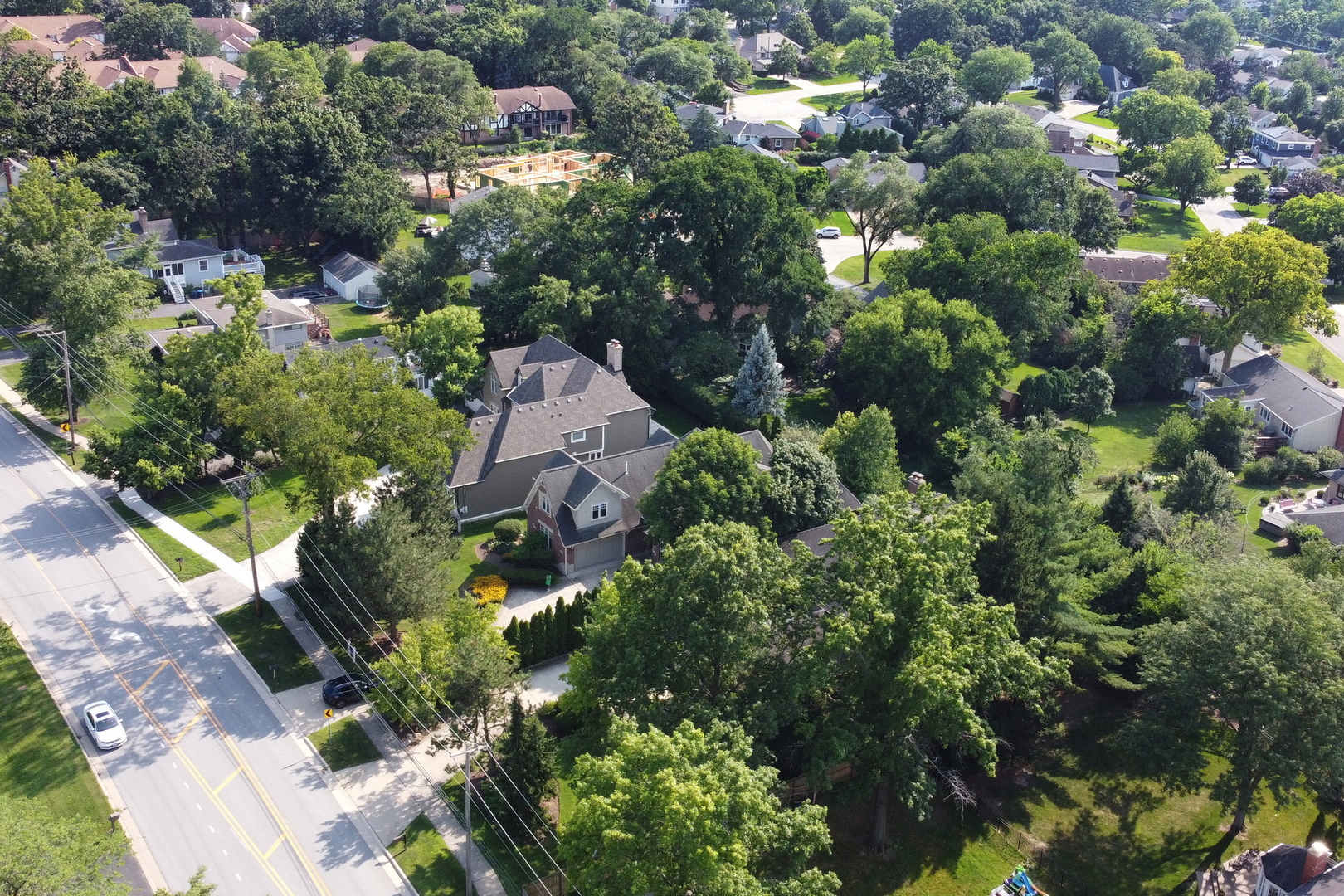5684 Wolf Road Western Springs, IL 60558 - Photo 51 of 51 a view of a garden with plants
