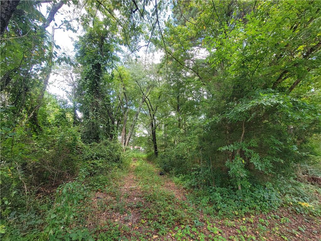 0 Calhoun Road Northeast Rome, GA 30161 - Photo 4 of 9 a view of a lush green forest