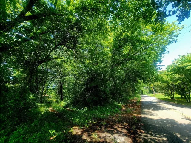 a view of a street with a tree