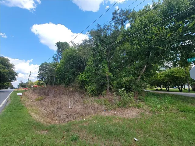 a view of a yard with plants and a large tree