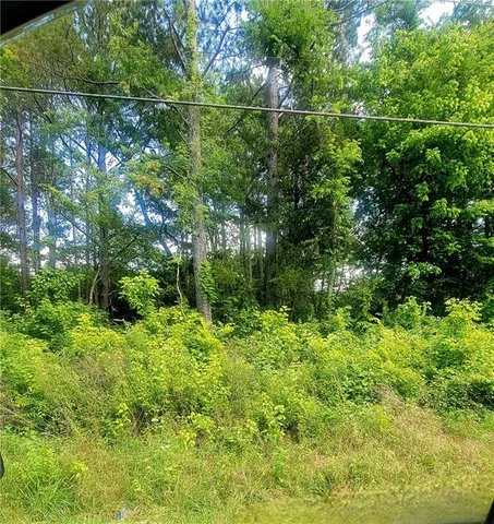 a view of a garden with plants