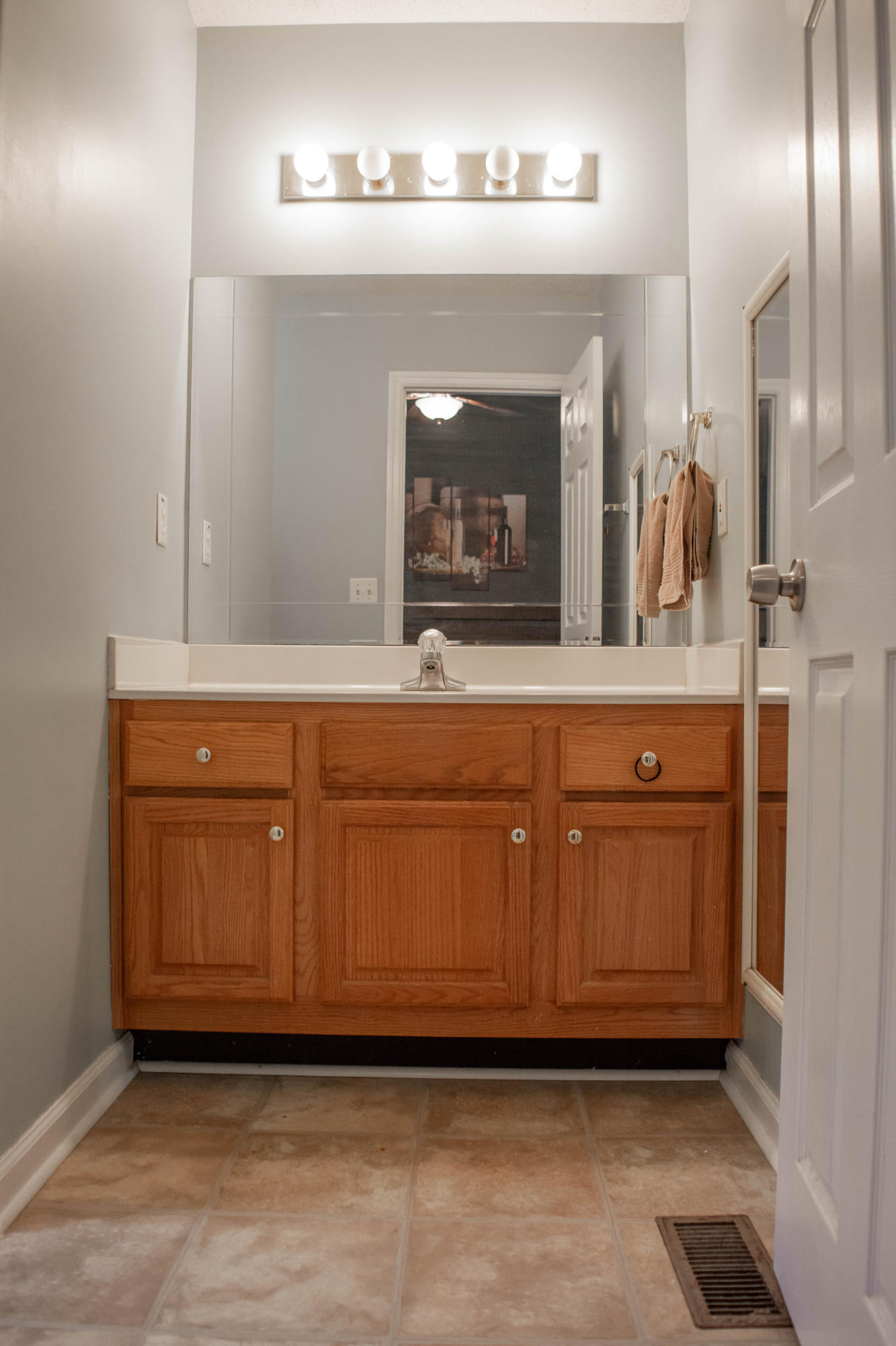 216 Spring Meadows Drive Ringgold, GA 30736 - Photo 22 of 32 Master Bath