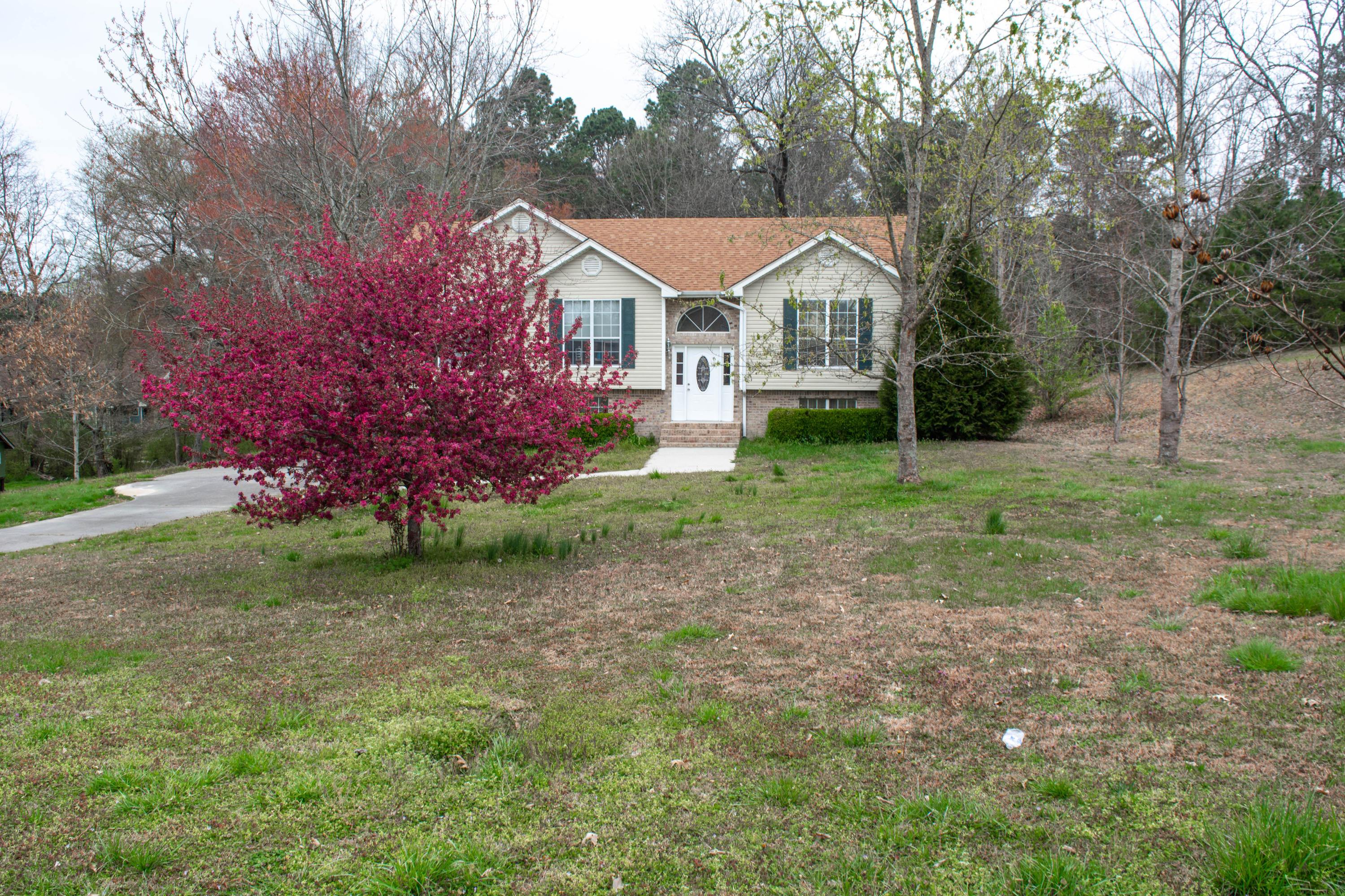 216 Spring Meadows Drive Ringgold, GA 30736 - Photo 4 of 32 4