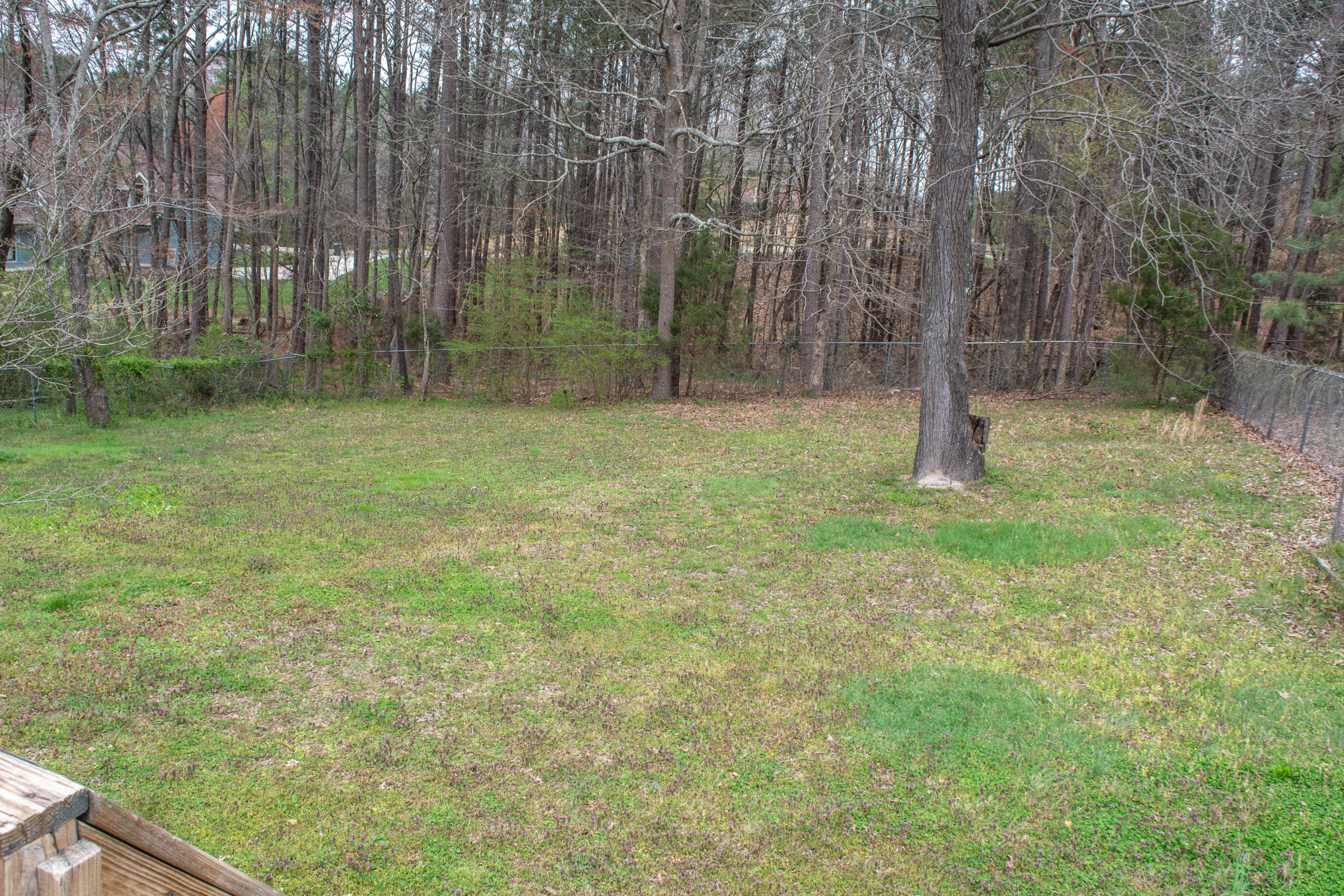 216 Spring Meadows Drive Ringgold, GA 30736 - Photo 8 of 32 7