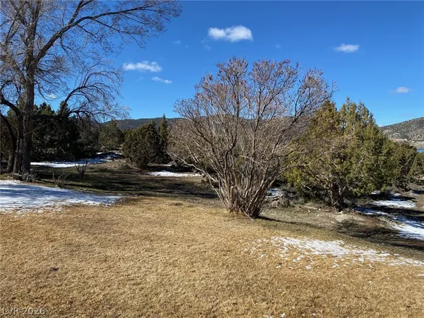 $460,000 | 1171 South Bell Avenue, Ely, NV 89301