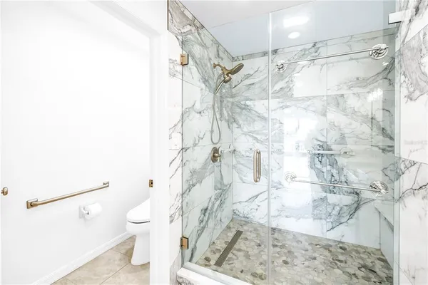 a bathroom with a shower and a toilet