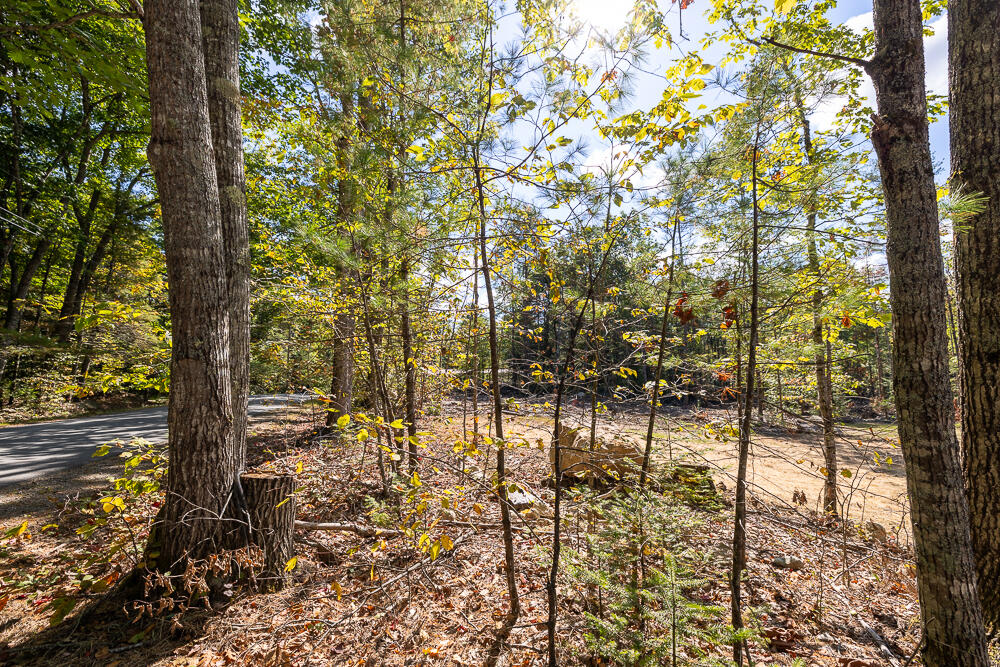 294 Beech Hill Road Pittston, ME 04345 - Photo 21 of 27 HY3A0198