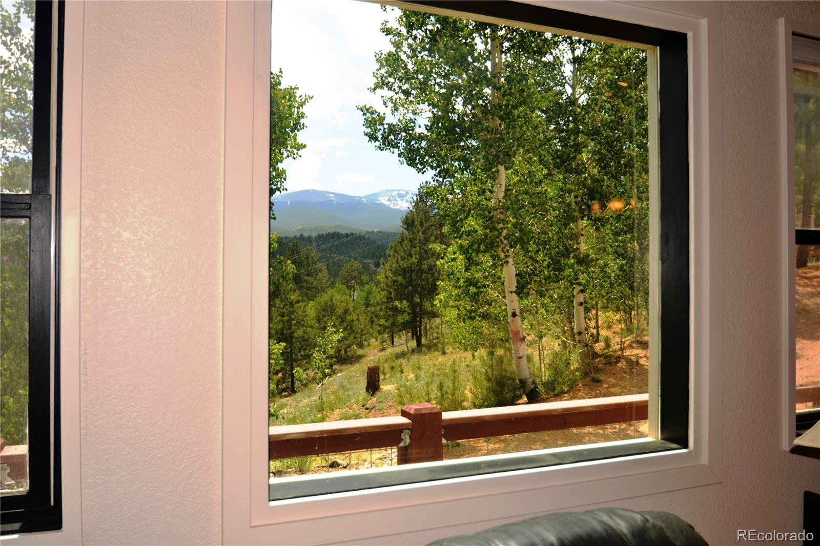 98 Lallie Road Bailey, CO 80421 - Photo 3 of 31