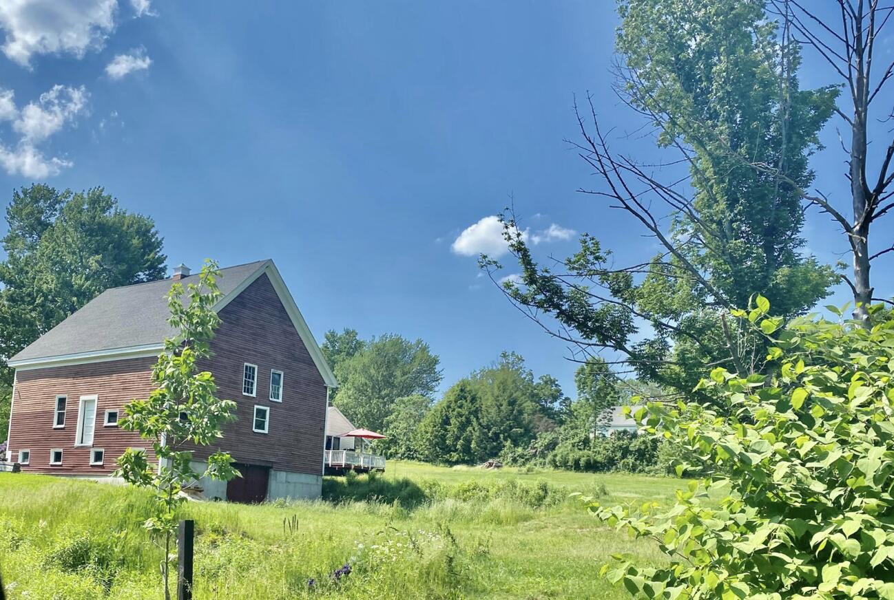 255 Main Street Cumberland, ME 04021 - Photo 38 of 41 Backyard & Under Storage in garage