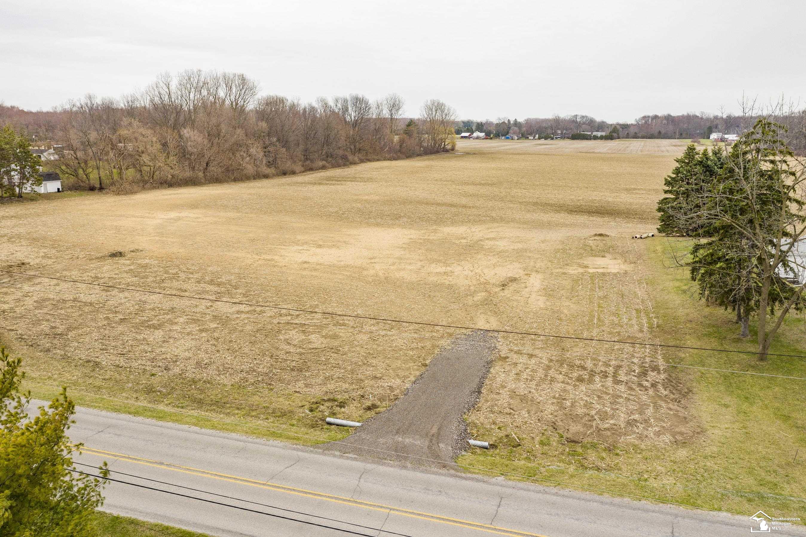 9240 Crabb Road Temperance, MI 48182 - Photo 4 of 7