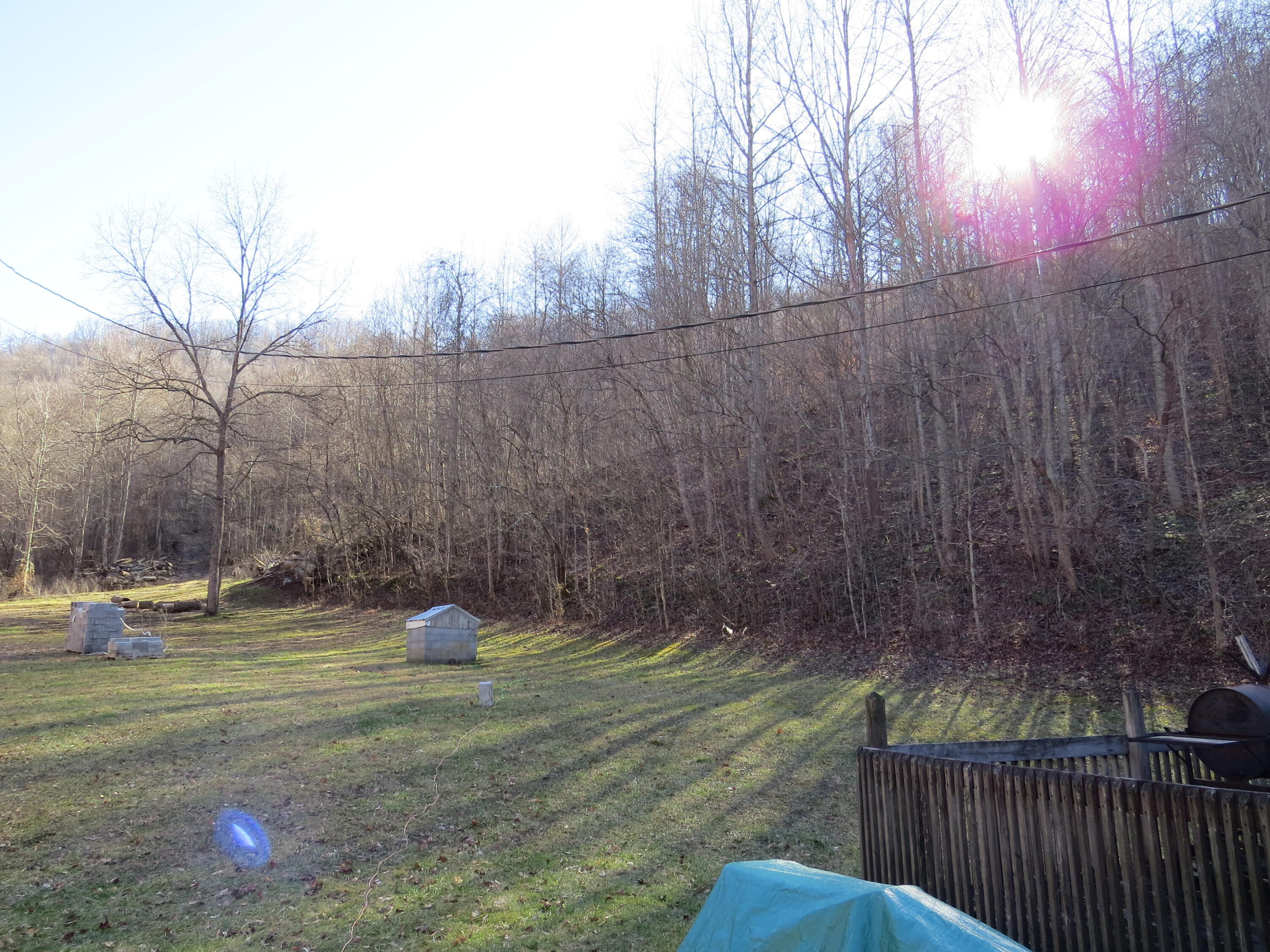 784 Clan House Road Hinkle, KY 40953 - Photo 12 of 39 IMG_8750