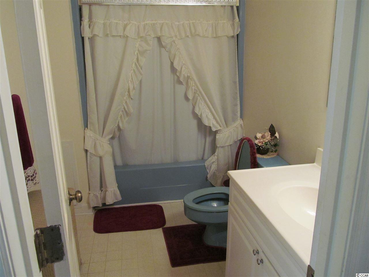 553 Wildflower Road Hemingway, SC 29554 - Photo 7 of 28