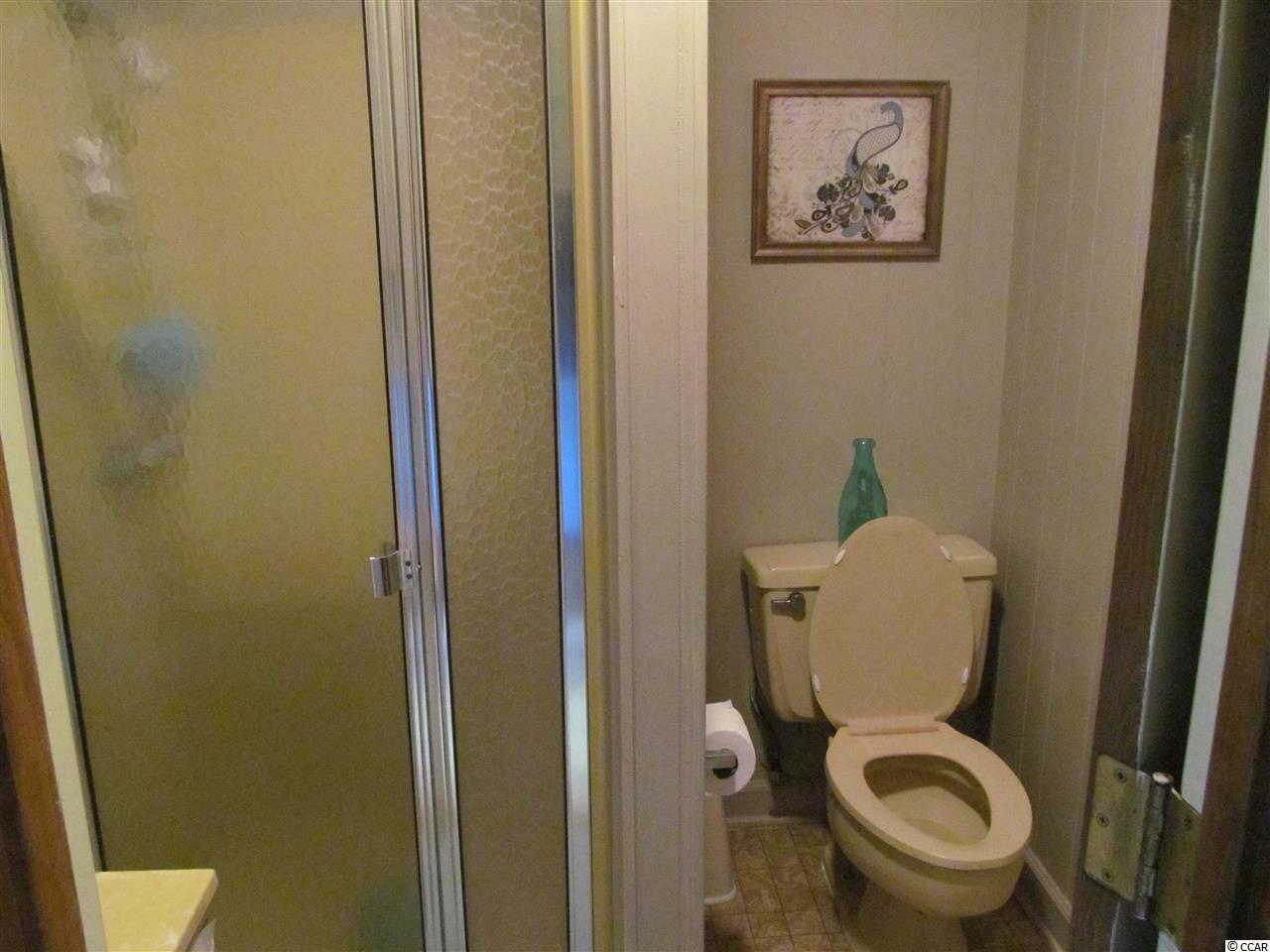 553 Wildflower Road Hemingway, SC 29554 - Photo 10 of 28