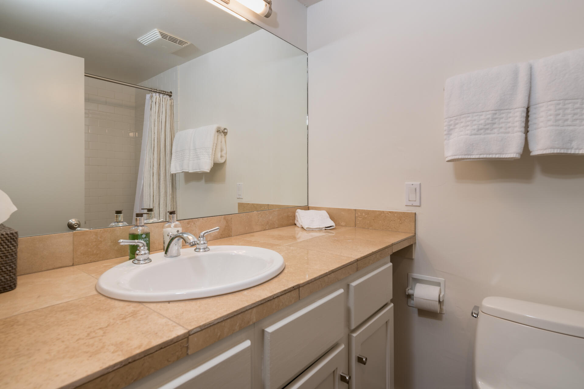 202 Picabo Street, Unit 201B Ketchum, ID 83340 - Photo 4 of 15 Downstairs Bathroom...