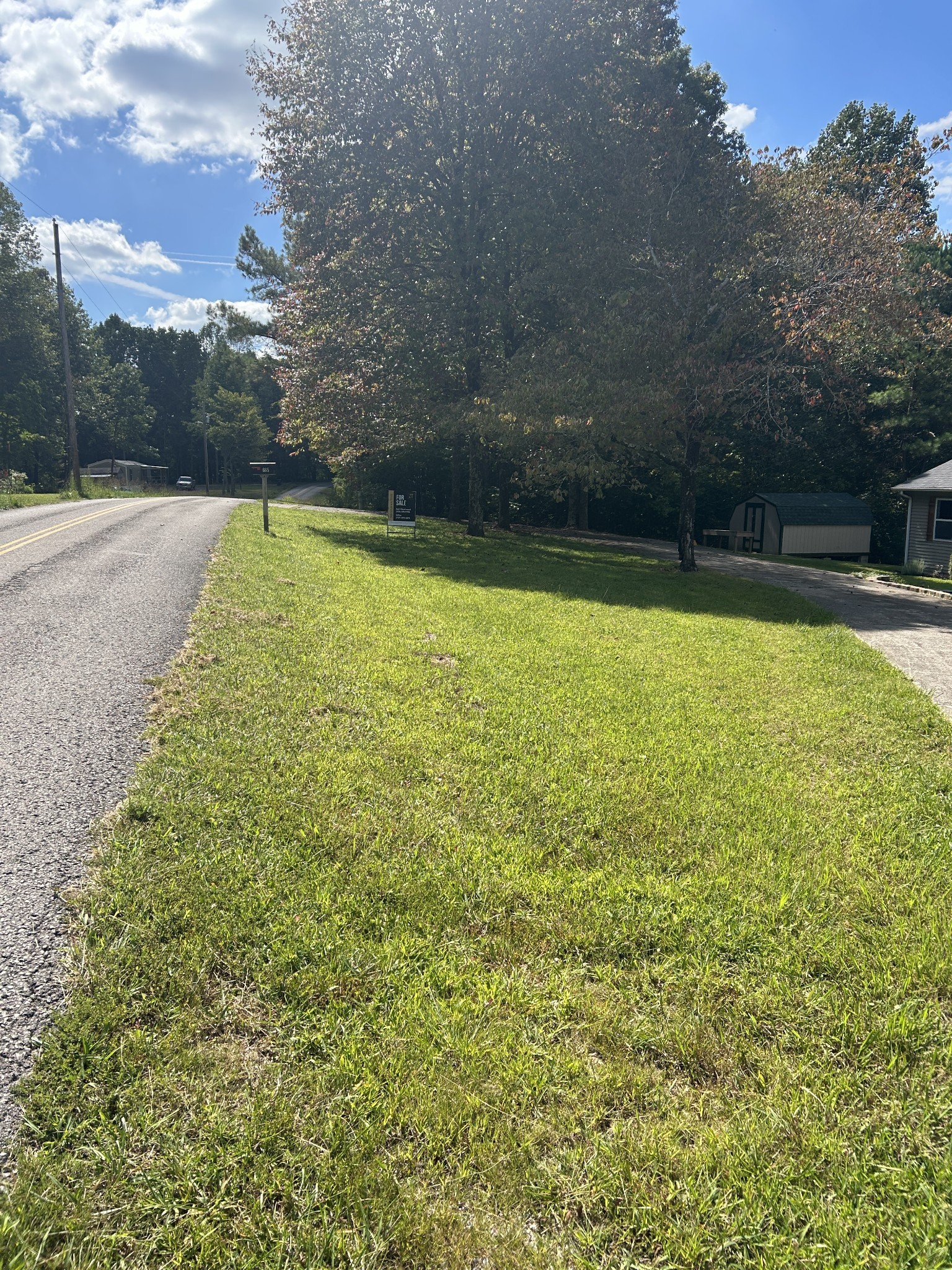 665 Hog Back Ridge Road Bethpage, TN 37022 - Photo 65 of 66 a view of a yard with a large trees