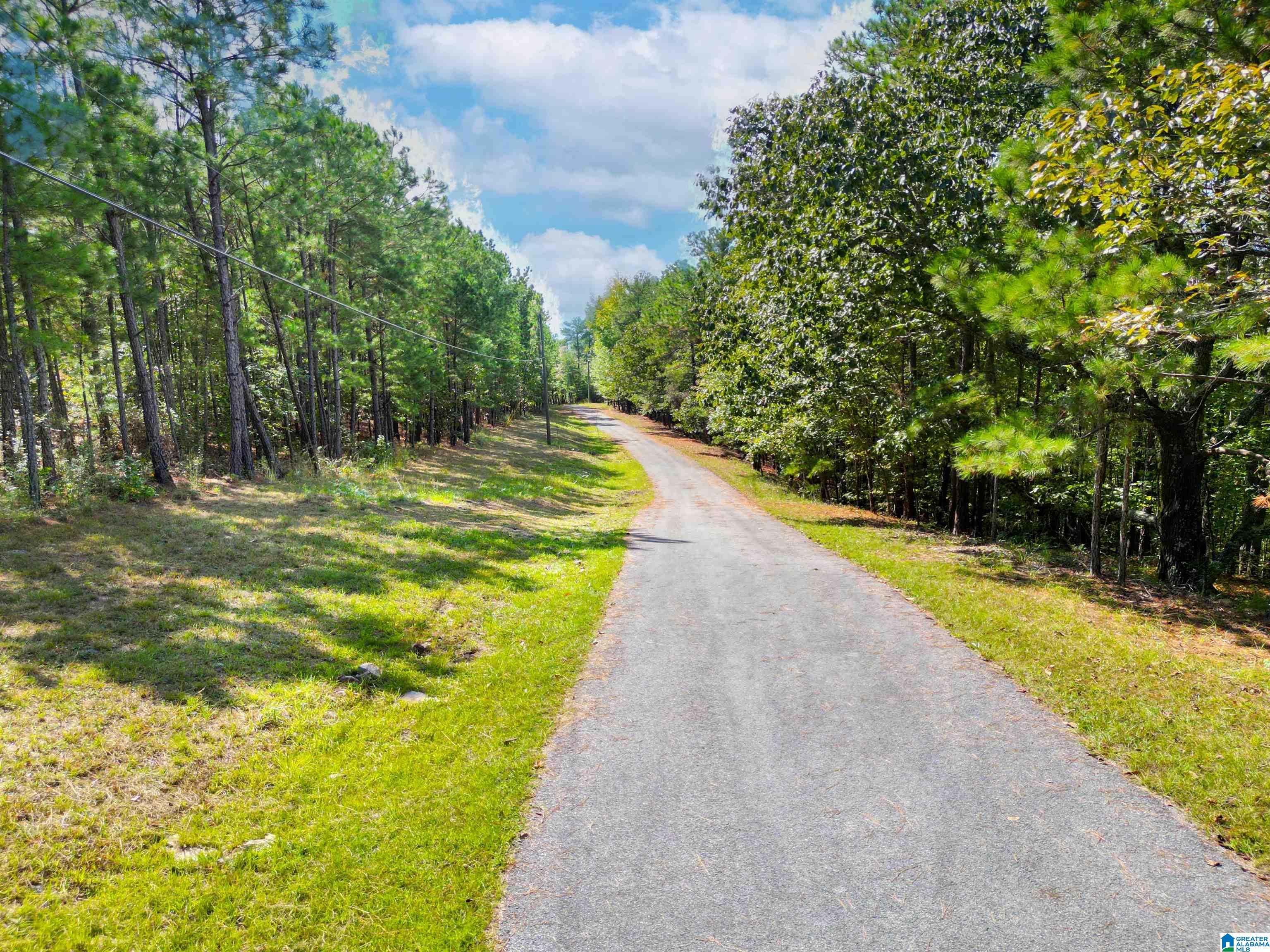 16005 Highway 55 Sterrett Al, Unit 53 AC / Sterrett, AL 35147 - Photo 5 of 9