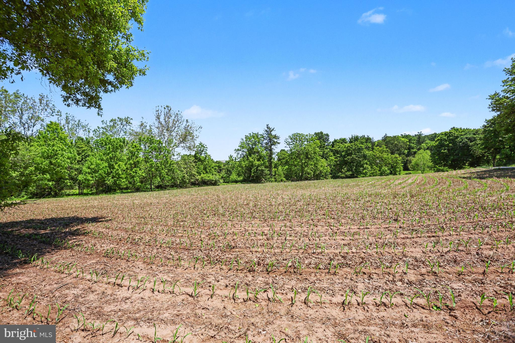 0 Big Oak Road Dillsburg, PA 17019 - Photo 3 of 18 a view of lake and mountain view
