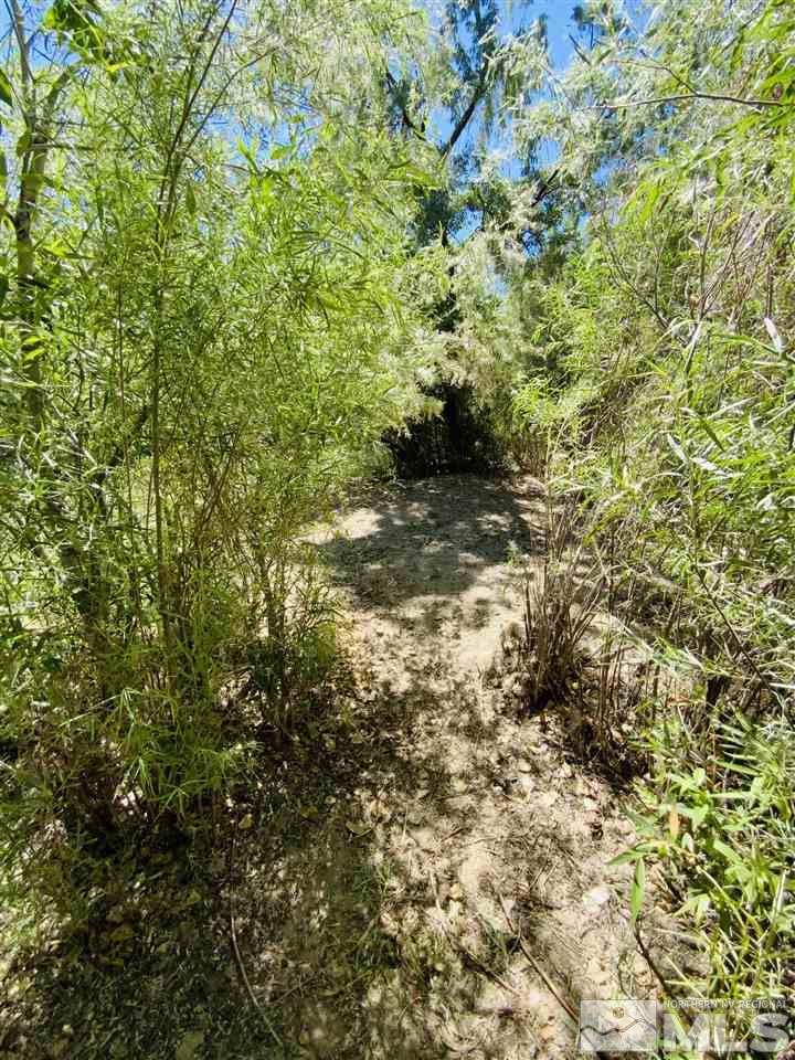 3830 Alcorn Road, Unit RD Fallon, NV 89406 - Photo 12 of 20 a view of a yard with plants and tree