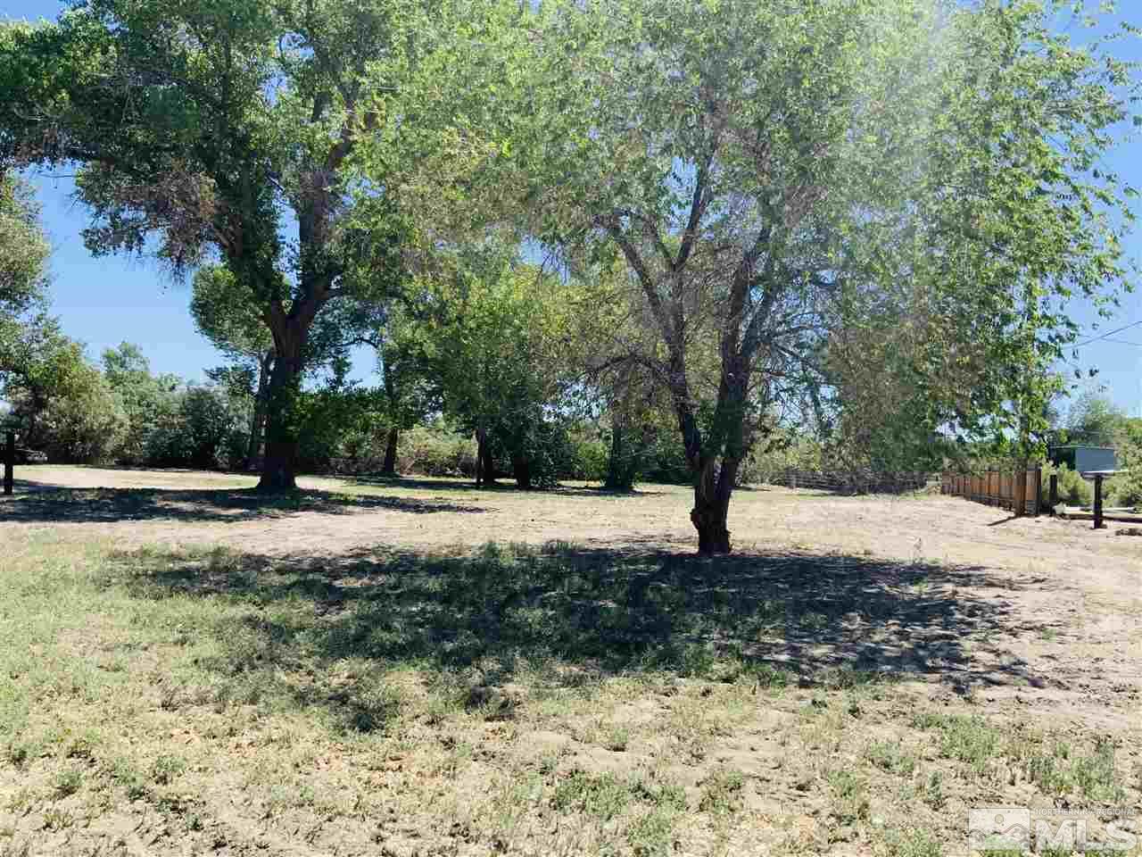 3830 Alcorn Road, Unit RD Fallon, NV 89406 - Photo 5 of 20 a view of backyard with tree