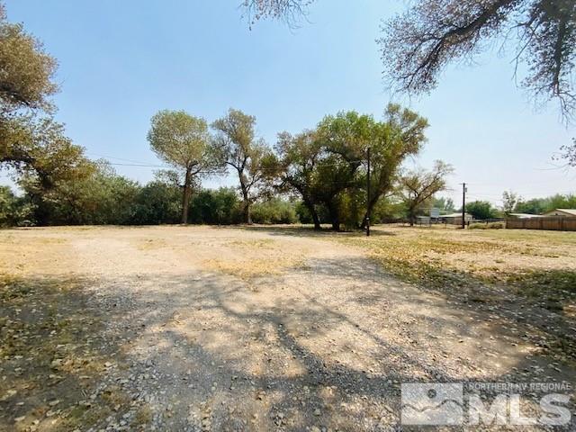 3830 Alcorn Road, Unit RD Fallon, NV 89406 - Photo 6 of 20 a view of yard with trees