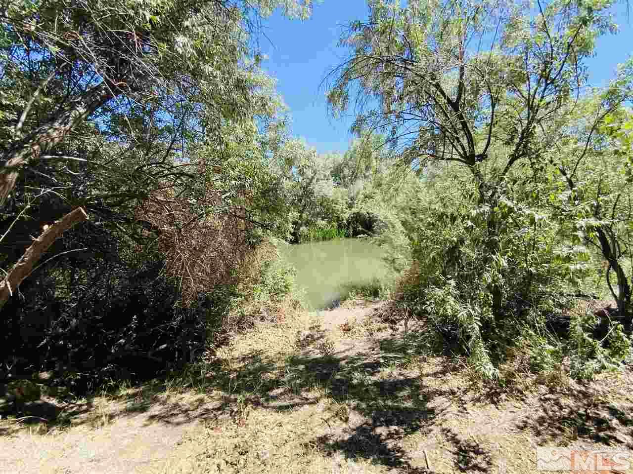3830 Alcorn Road, Unit RD Fallon, NV 89406 - Photo 9 of 20 a view of lake with tree