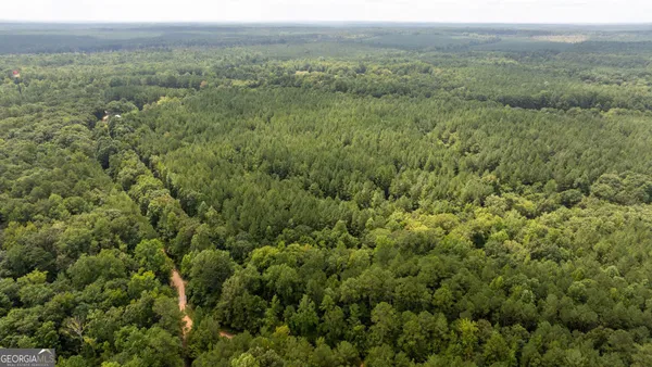 an aerial view of forest