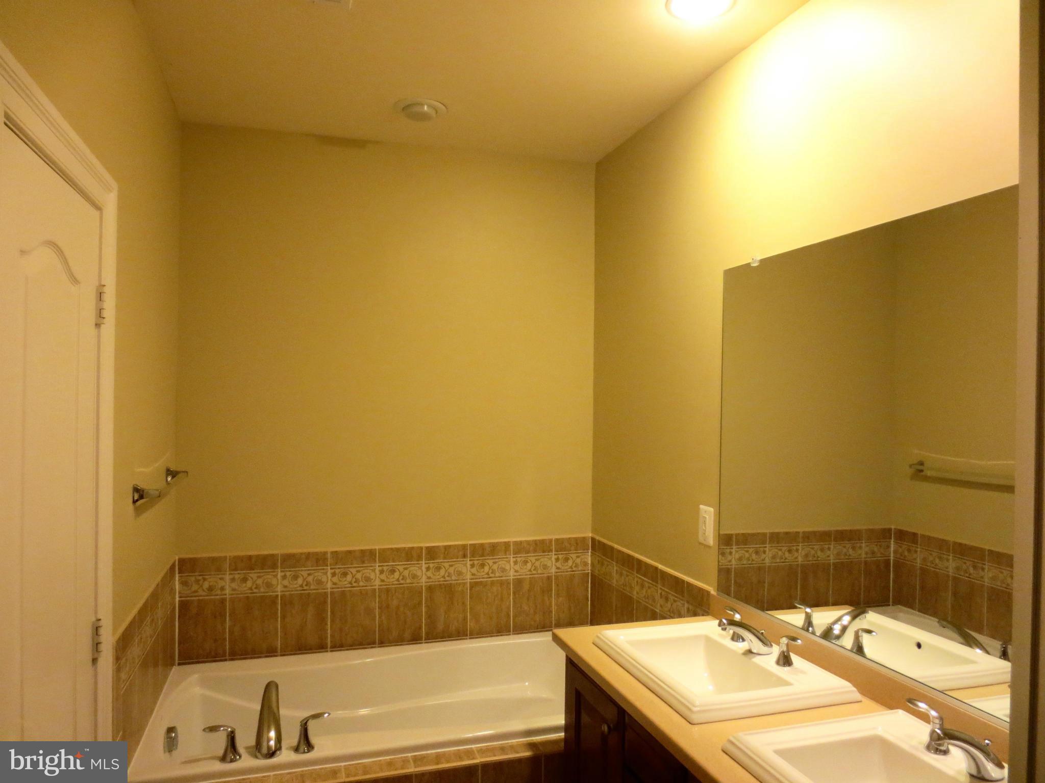 716 Carpenter Road Alexandria, VA 22314 - Photo 19 of 28 a bathroom with a sink and a bathtub