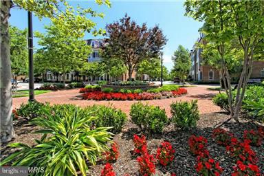 716 Carpenter Road Alexandria, VA 22314 - Photo 22 of 28 a view of a park with plants and trees
