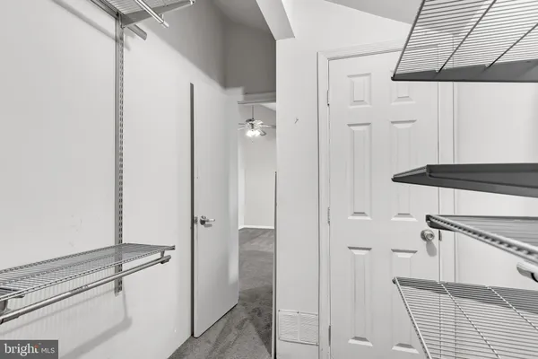 a bathroom with a shower and a sink