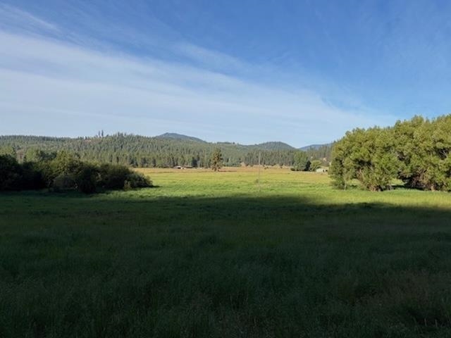 29-xx Red Marble Road Chewelah, WA 99109 - Photo 1 of 19