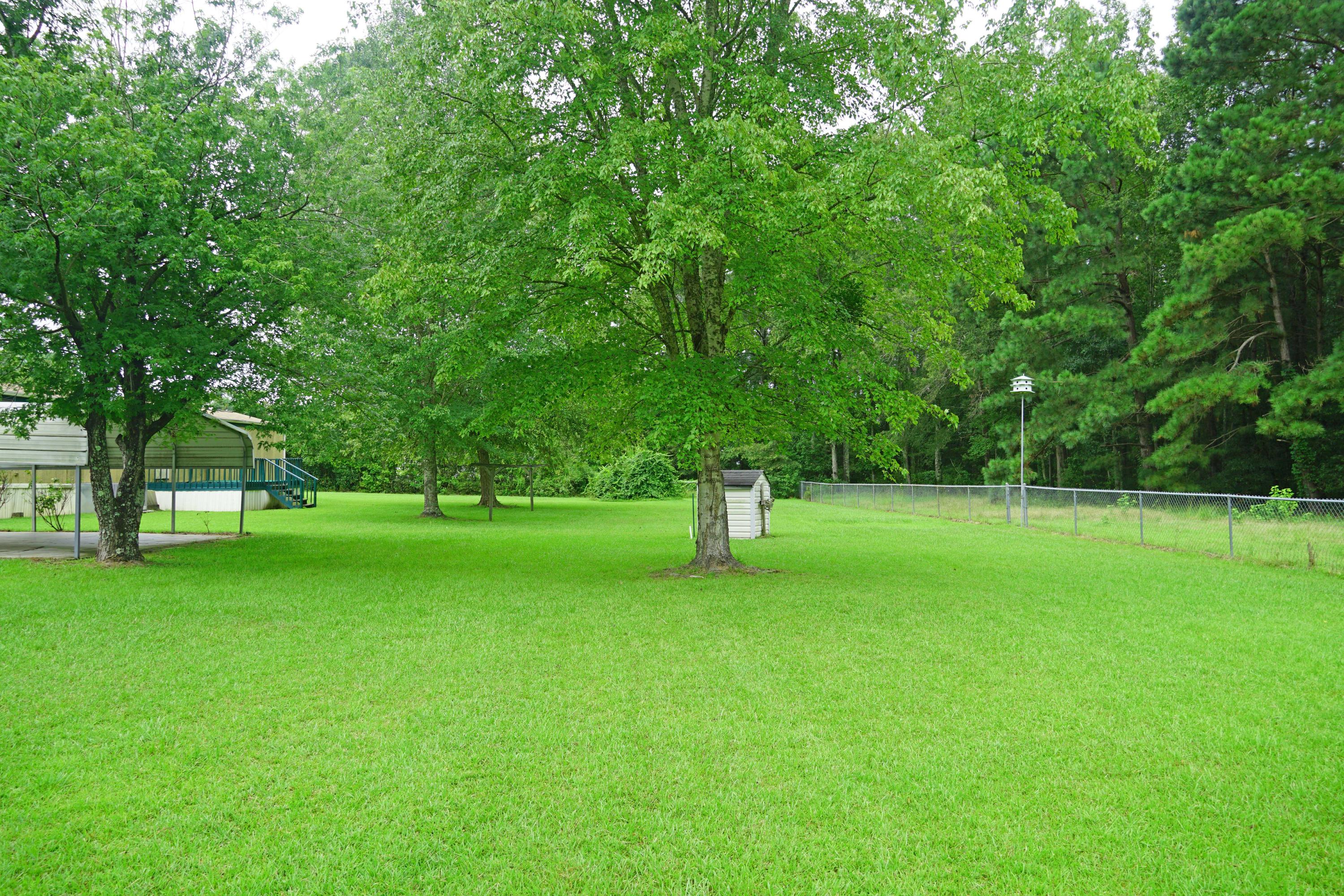 2461 William Brunson Road Summerton, SC 29148 - Photo 3 of 27 Back Yard 1