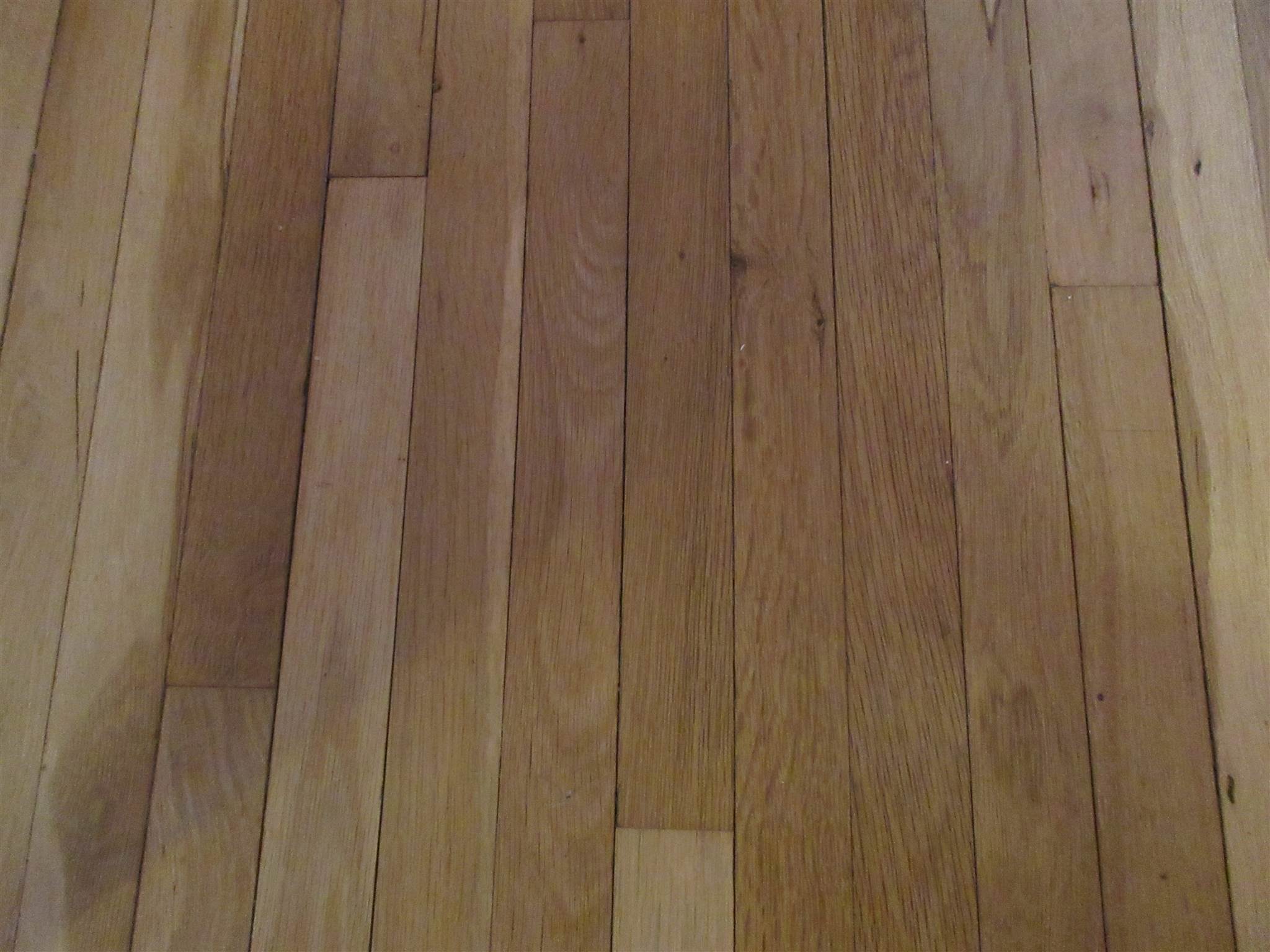 1822 East 2nd Street Bloomington, IN 47401 - Photo 17 of 24