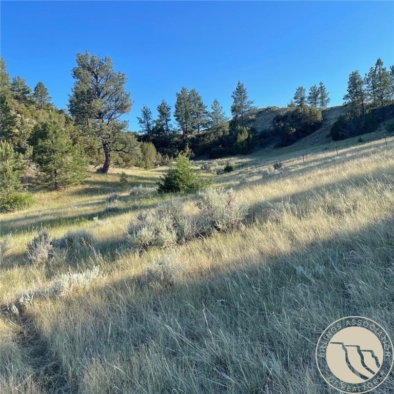 Tbd Tbd Gribben Road Custer, MT 59024 - Photo 1 of 7 Gallery Image 1