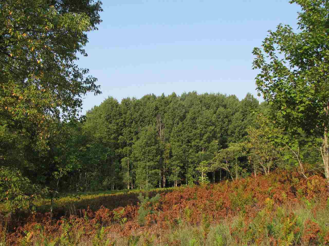 7678 Willis Road Benzonia, MI 49616 - Photo 2 of 5 1791637-1.JPG