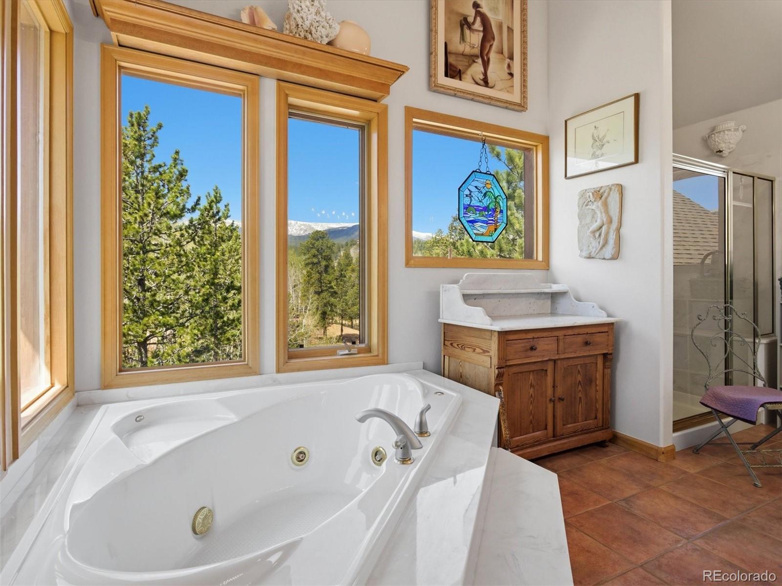 232 Highlands Drive Bailey, CO 80421 - Photo 33 of 50