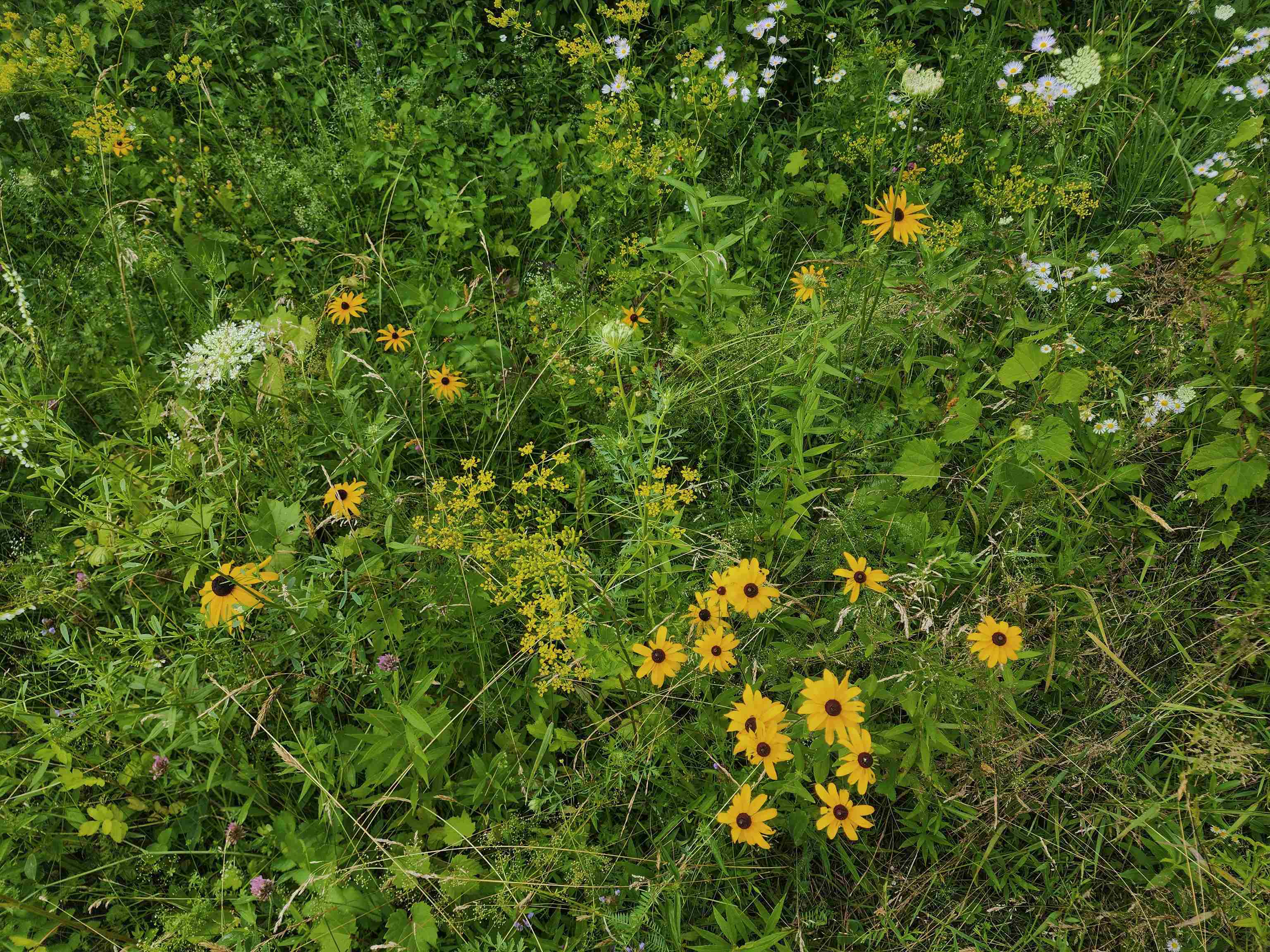 0 Applesauce Hill Road, Unit 3 Castleton, VT 05735 - Photo 30 of 58 Gallery Image 30