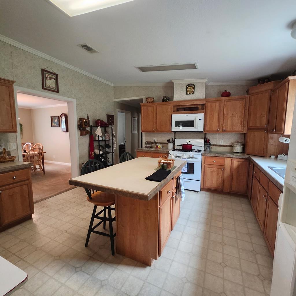 786 Blackberry Road Baconton, GA 31716 - Photo 16 of 67 Gallery Image 16