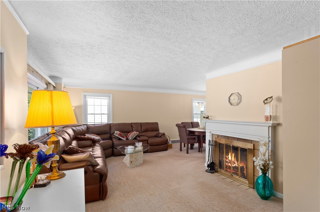 3439 Helen Road Shaker Heights, OH 44122 - Photo 4 of 24 Spacious living room with plush carpet and fireplace as well as newer windows throughout