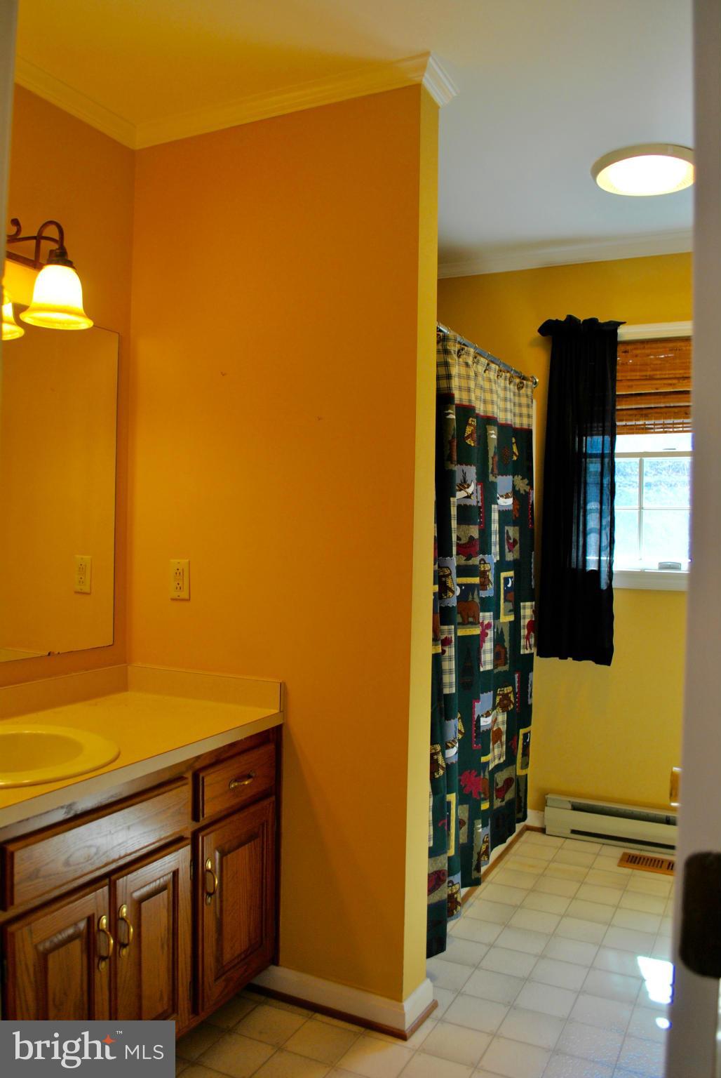 23965 Mt Misery Road St. Michaels, MD 21663 - Photo 18 of 26 Bath
