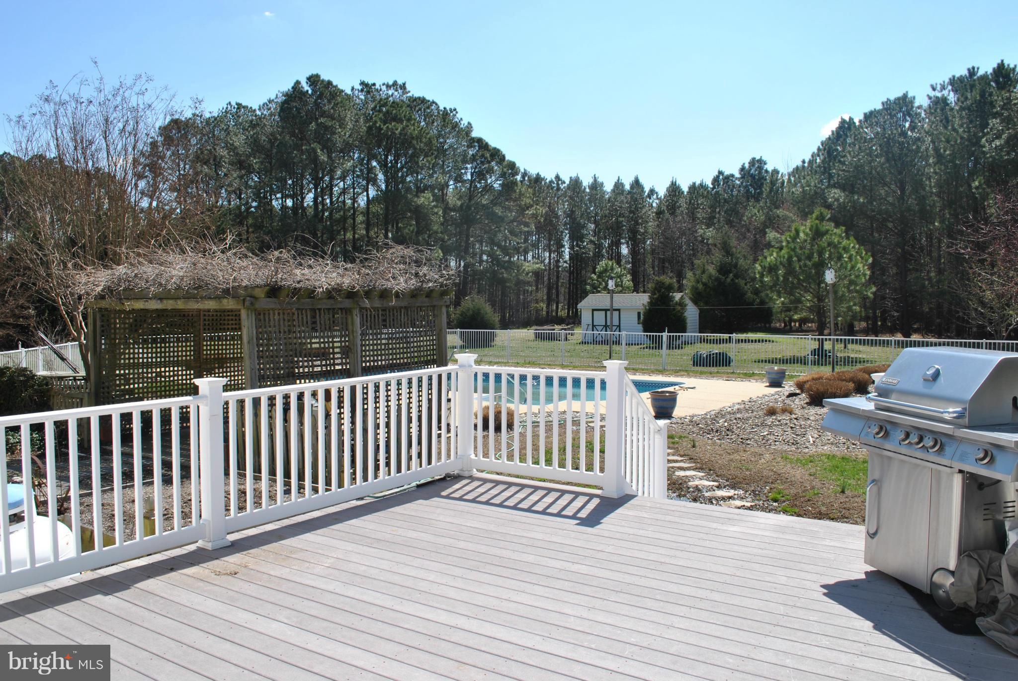 23965 Mt Misery Road St. Michaels, MD 21663 - Photo 6 of 26 Deck/Pool/Patio