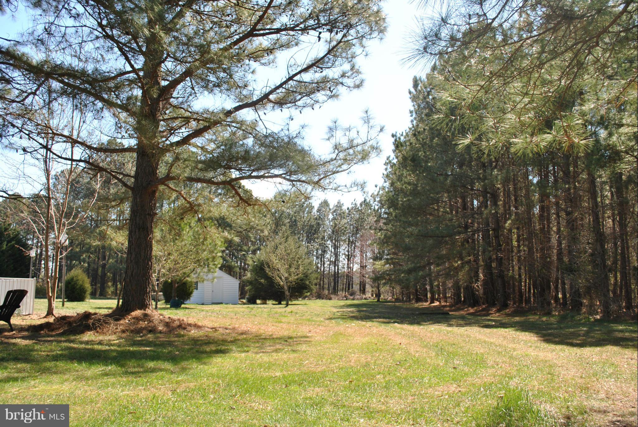 23965 Mt Misery Road St. Michaels, MD 21663 - Photo 10 of 26 Backyard
