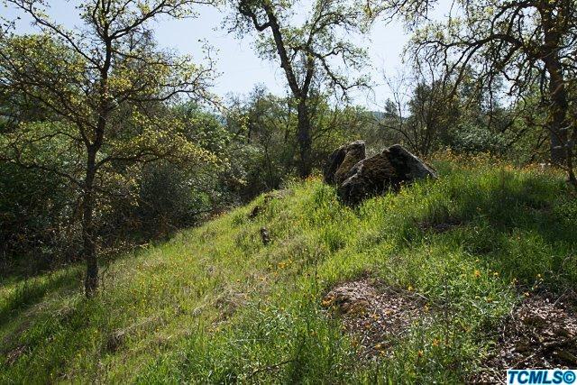 43253 Sierra Drive Three Rivers, CA 93271 - Photo 5 of 13 Additional Photo