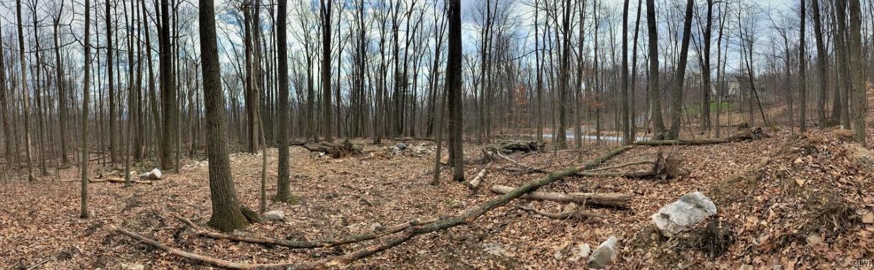 8127 Leaser Road Kempton, PA 19529 - Photo 8 of 26 1. 7 acre ~ Wooded Lot ~ Blue Mountain Preservati