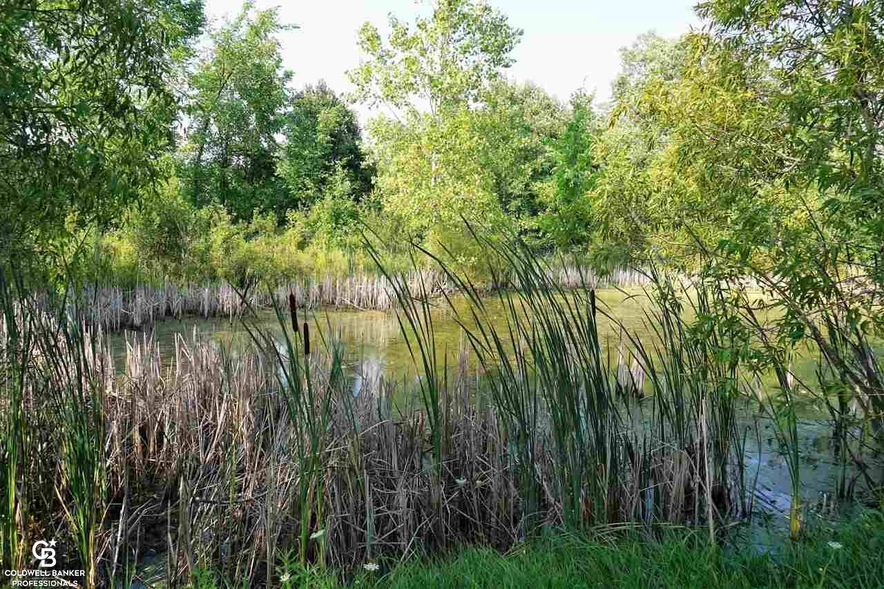 3351 Wade Road Capac, MI 48014 - Photo 26 of 34 50051092-25.JPG