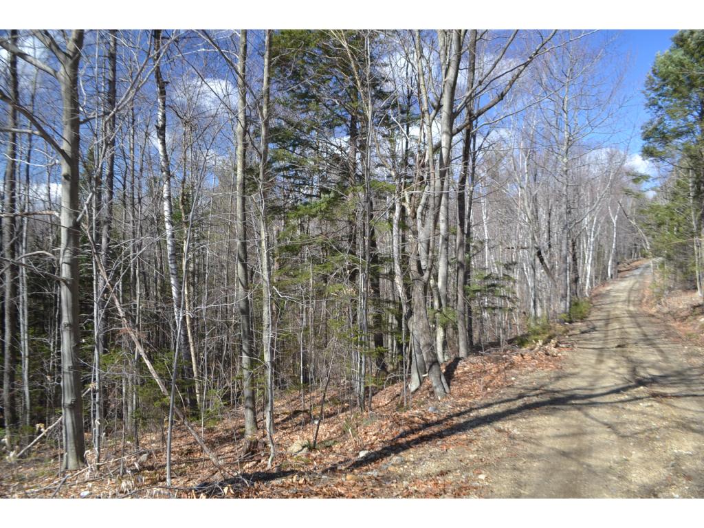 292 King Rd Hill Hill, NH 03243 - Photo 7 of 16 Gallery Image 7
