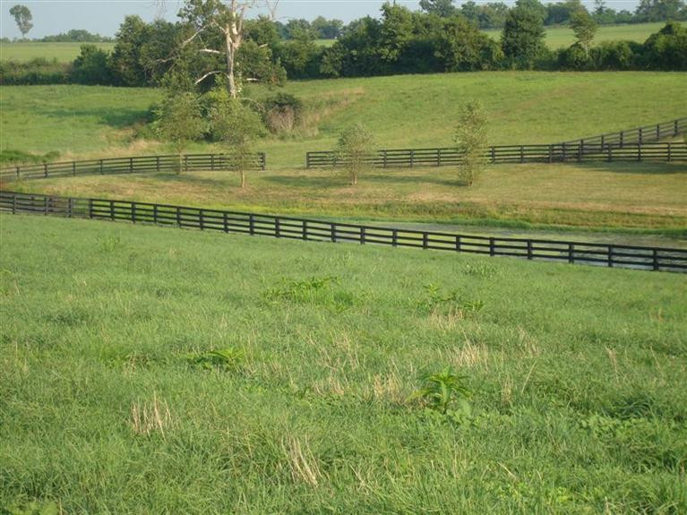2325 Logana Road Nicholasville, KY 40356 - Photo 29 of 32 Photo 29